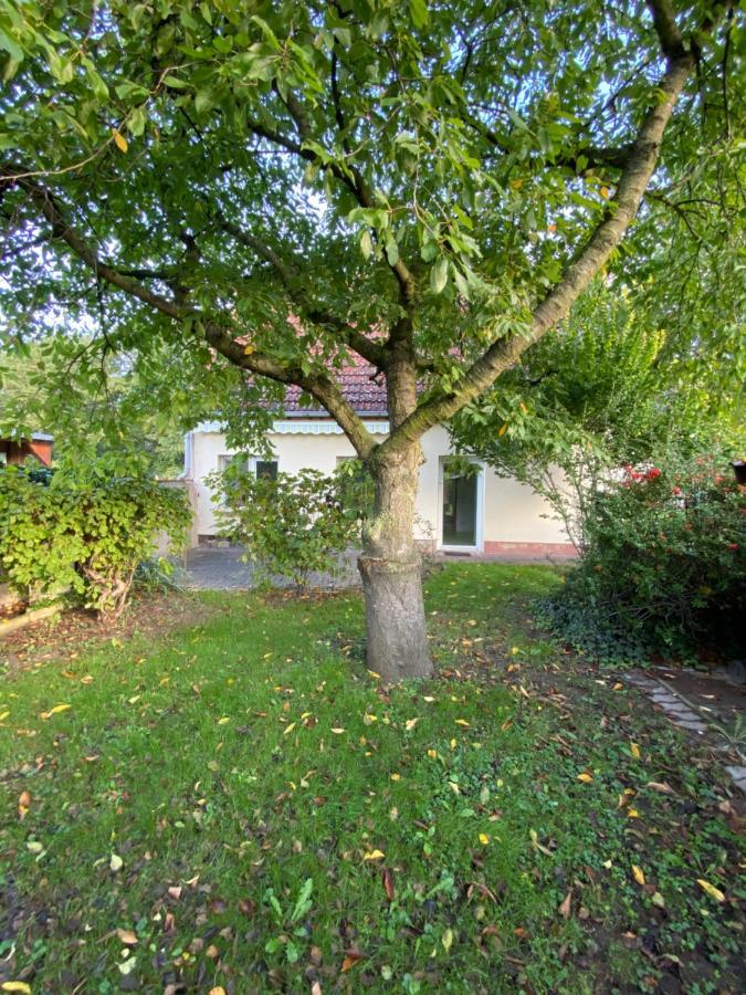 Ferienhaus Spreewald Luckau Εξωτερικό φωτογραφία